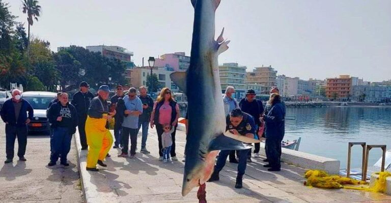 IMG_20220406_105836-864x450