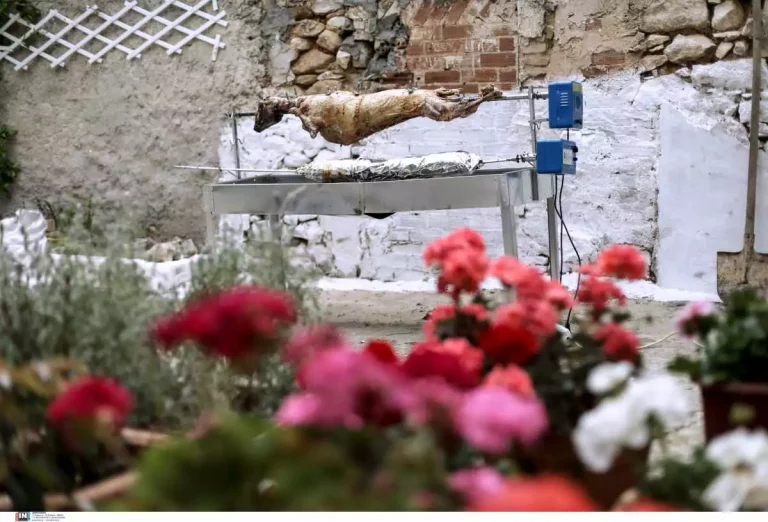 pasxaArni9045-1200x816