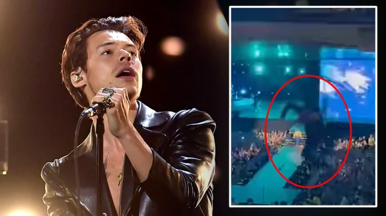 harry-styles-ptwsi-fan3