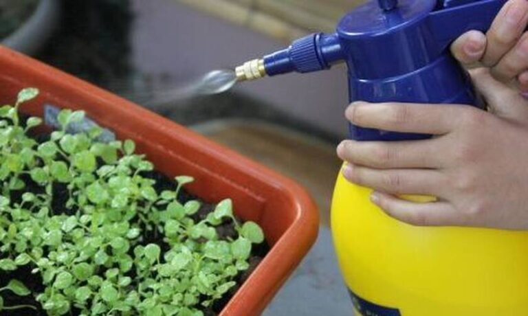 watering-603826_1280